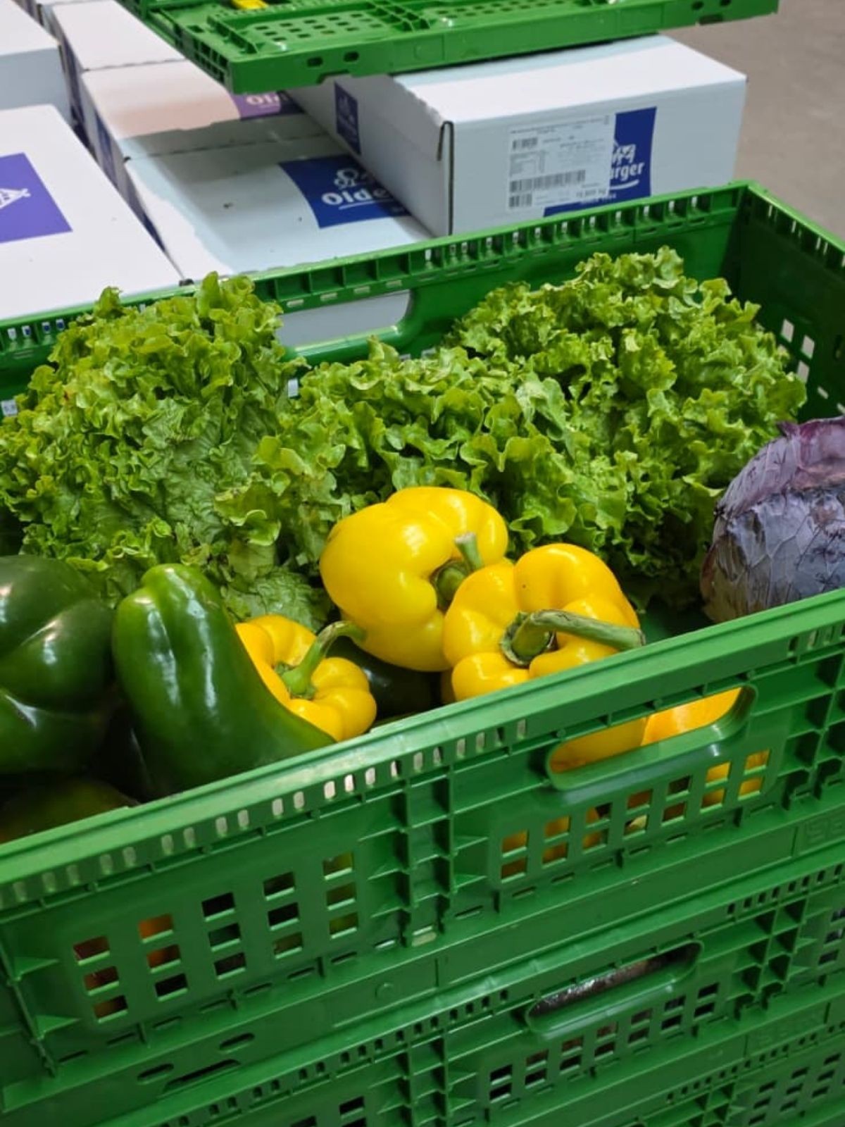 WhatsApp Image 2026-02-12 at 13.51.14.jpeg